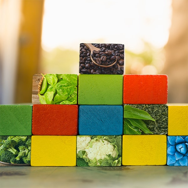 Natures Building Blocks Natures Building Blocks