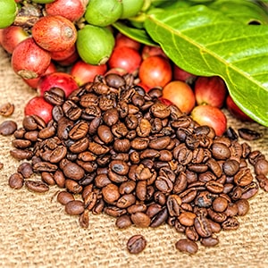 Coffee Beans & Fruit